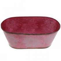 kohteita Kulho, jossa on lehtikoriste, istutin, syksyn koriste, metallipotti viininpunainen L38cm H15cm L38cm H15cm