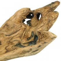 Koristekulho Paulownia-puuta, kukkatarjotin, puinen astia L58cm K7-8cm