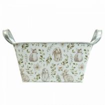 kohteita Jardiniere istutuskone metallia 20×12,5×10cm