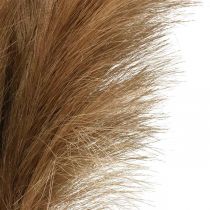 Feather Grass Ruskea Luonnollinen Keinotekoinen Kuiva Ruoko 100cm 3kpl