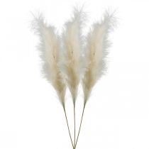 Feather Grass Cream Chinese Reed Keinotekoinen kuivaruoho 100cm 3kpl