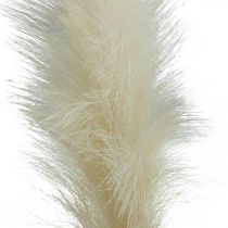 Feather Grass Cream Chinese Reed Keinotekoinen kuivaruoho 100cm 3kpl