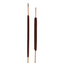 Reed Flask Mix Brown 100p