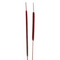 kohteita Reed bulb mix red 100 kpl