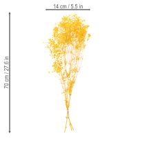 kohteita Kuivakukkakimppu vauvanhengityksellä. Koristeelliset kukkivat oksat sopivat sesonginmukaiseen pöytäkoristeluun. 70 cm