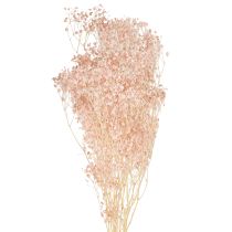 kohteita Gypsophila Decoration Oranssi kuivattu ruoho persikka 65-70cm 100g