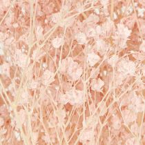 kohteita Gypsophila Decoration Oranssi kuivattu ruoho persikka 65-70cm 100g