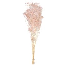 kohteita Gypsophila Decoration Oranssi kuivattu ruoho persikka 65-70cm 100g