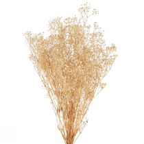 kohteita Gypsophila Orvokki Kipsiyrtti Valkoiset kukat 50cm 55g