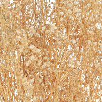 kohteita Gypsophila Orvokki Kipsiyrtti Valkoiset kukat 50cm 55g