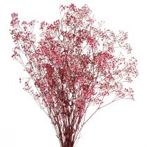 kohteita Gypsophila paniculate kipsiyrtti marjassa L50cm 55g