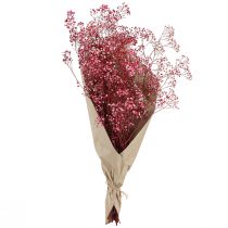 kohteita Gypsophila paniculate kipsiyrtti marjassa L50cm 55g