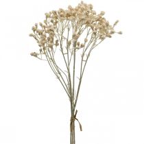 kohteita Keinotekoinen gypsophila cream gypsophila 46cm nippu 3 kpl