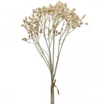 kohteita Artificial Gypsophila Cream Gypsophila 46cm nippu 3 kpl