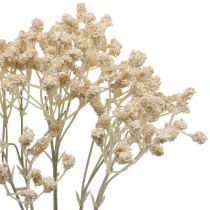 kohteita Artificial Gypsophila Cream Gypsophila 46cm nippu 3 kpl