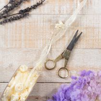 kohteita Valentino-nauha, kermanvärinen, 15 mm, 5 m