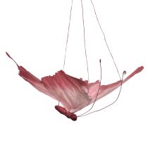 kohteita Suuri Roikkuva Perhoskoriste, Elegantti Seinäkoriste, 50cm, 2 Kappaletta