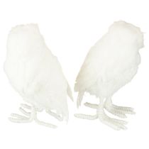 kohteita Lumisadepöllö Koristepöllö Valkoinen turkilla ja höyhenillä 15.5cm 2kpl