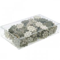 kohteita Lumihiutaleet puu glitter sekoitus Ø2cm 144p