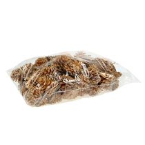 kohteita Mustakäpyjä koristekävyt kerma 5-8cm 1kg