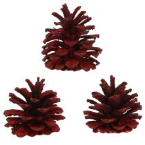 kohteita Mustat käpyjä Bordeaux koristekäpyjä punainen 6-8cm 6 kpl