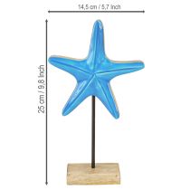 kohteita Meritähtikoriste pohjassa merensinistä luonnonsinistä puuta H25cm