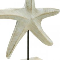 Puinen meritähti, merellinen koristeveistos, merikoriste luonnollinen, valkoinen H28cm