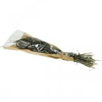 kohteita Kuivatut kukat Setaria Antrasiitti Natural Bristle Hirssi nippu 100g