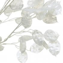 Deco Branch Silver Leaf White Lunaria Branch keinotekoinen oksa 70cm