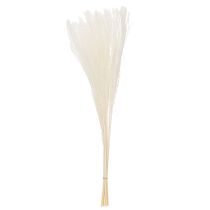 kohteita Kuivattuja kukkia, hopearuohoa. Elegantti luonnonmukainen sisustuselementti kotiin ja toimistoon. 70 cm, 10 kpl.