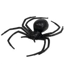Hämähäkki musta 16cm kiillellä