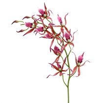 Spider-orkideat vaaleanpunainen-oranssi 108cm 3kpl