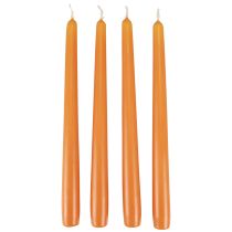 Kapenevat kynttilät Wenzel kynttilät oranssi 250/23mm 12kpl