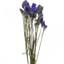 kohteita Kimppu merilaventelia, kuivattuja kukkia, merilaventelia, Statice Tatarica Blue L46-57cm 23g