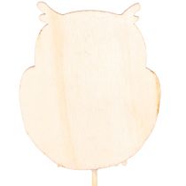 kohteita Puiset pöllönmuotoiset kukkakepit kukkakimppuihin ja ruukkuihin, 31 cm, 12 kpl