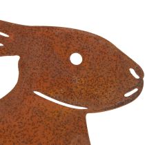kohteita Metallinen puutarhapuikko, rustiikkinen katseenvangitsija kukkapenkkeihin ja kukkiin, 100 cm, 2 kpl