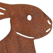 kohteita Metallinen pääsiäispupun puutarhakeppi tyylikkääseen keväiseen ulkokoristeeseen, 80 cm, 4 kpl