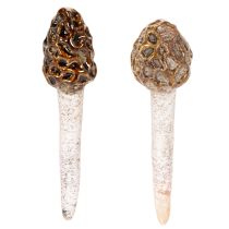 kohteita Keinotekoinen korvasienen koristevarsi ruukkuihin ja pöytään, 13 cm, 2 kpl