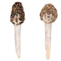 kohteita Keinotekoinen korvasienen koristevarsi ruukkuihin ja pöytään, 13 cm, 2 kpl