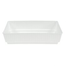 Pistorasia Lara 15cm x 8cm x 4cm 10kpl