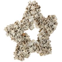 kohteita Tähti ripustettavaksi joulukoristeeksi Valkoinen, Glitter Ø15cm