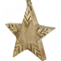 kohteita Tähti Mangopuu Luonnollinen, kultainen joulukuusenkoriste 12cm 4kpl 4kpl