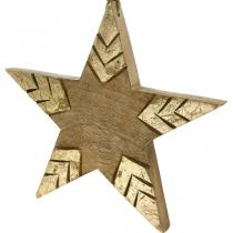 kohteita Tähti Mango Wood Natural, Golden Wooden Star Suuri ripustaa 25cm 2kpl 2kpl