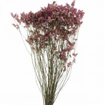 kohteita Statice, Meri laventeli, kuivattu kukka, luonnonkukkakimppu vaaleanpunainen L52cm 23g