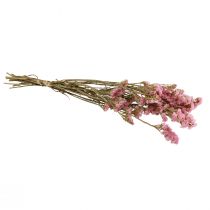 kohteita Beach Lilac Pink Limonium Kuivatut kukat 60cm 50g