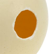 kohteita Strutsinmuna, luonnonvärinen, puhallettu, tyhjä, koriste