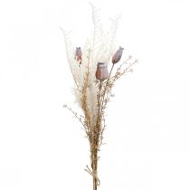 Unikkokapselit deco kuivatut kukat keinotekoinen saniainen kerma 63cm