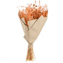 kohteita Boho-kuivakukkakimppu, appelsiini ja aprikoosi, koristeellinen, 45 cm, 80 g
