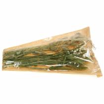 kohteita Wild Grass Bouquet Dry Floral 50g