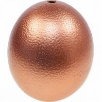 Strutsinmunan koristelu puhallettu pääsiäiskoristelu kupari Ø12cm K14cm